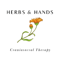 Herbs & Hands Craniosacral Therapy Company Logo by Danielle Currey in Gresham OR